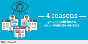 Know About Website Visitors: